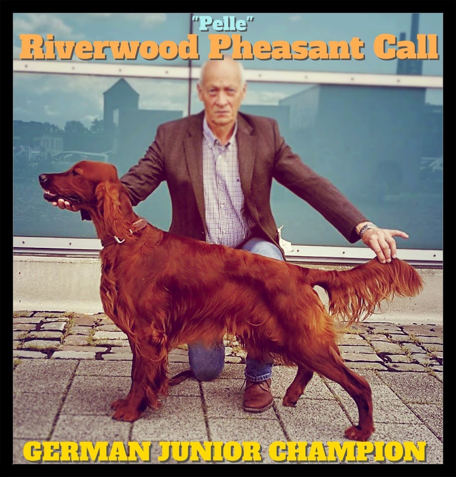 Riverwood Pheasant call