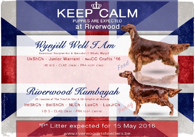 Riverwood - Bientôt des chiots