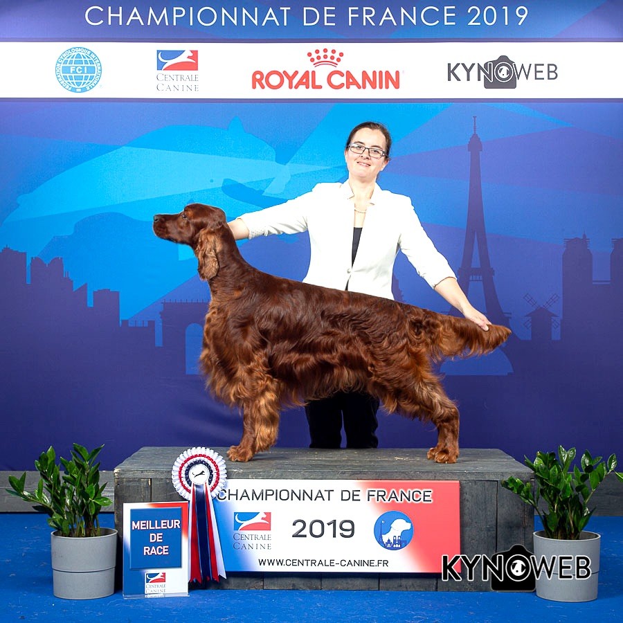 Riverwood - Championat de France 2019